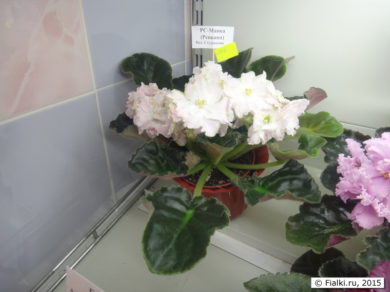 DSC01608