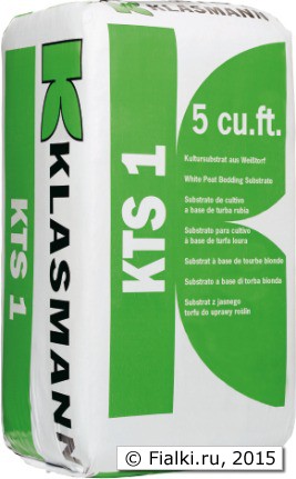 Klasmann_TS1