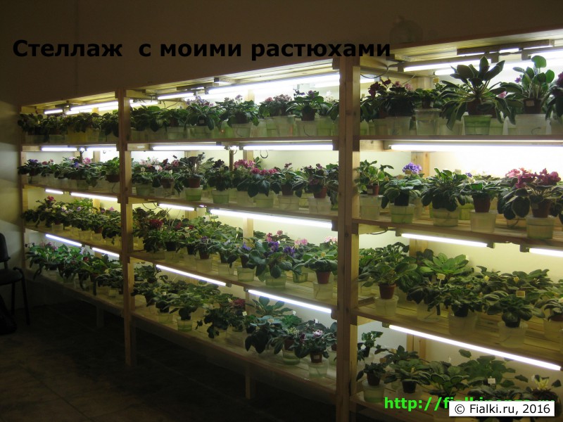 Стеллаж