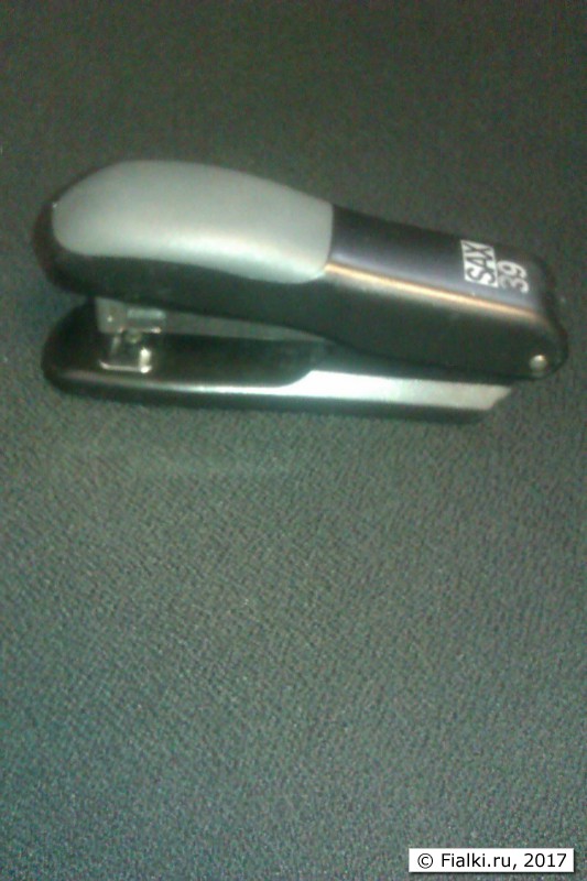 IMAG2808
