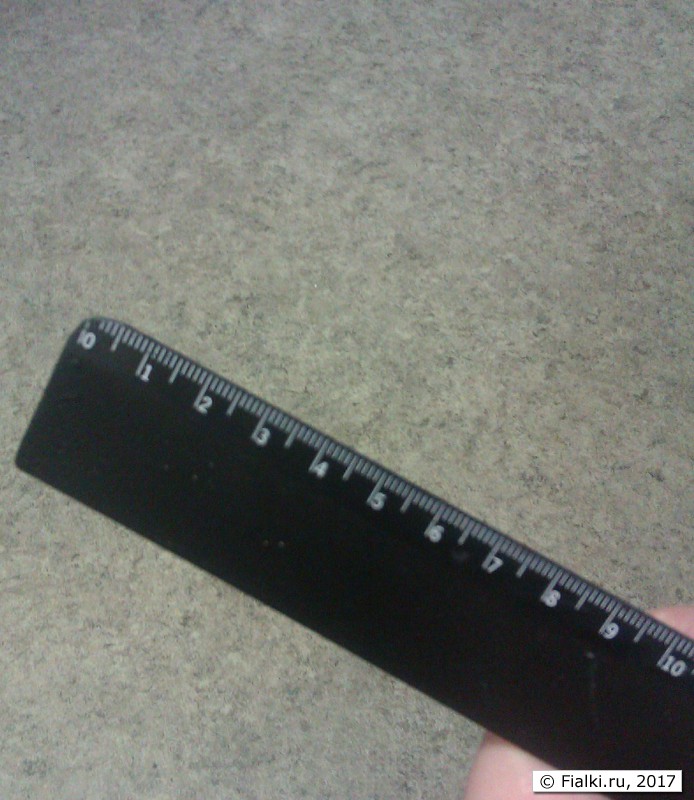 IMAG2852
