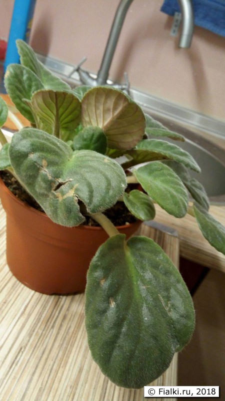 photo_2018-05-27_12-30-37