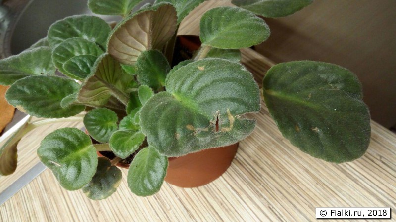 photo_2018-05-27_12-30-39