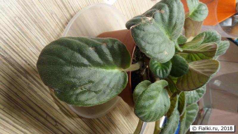 photo_2018-05-30_22-34-57