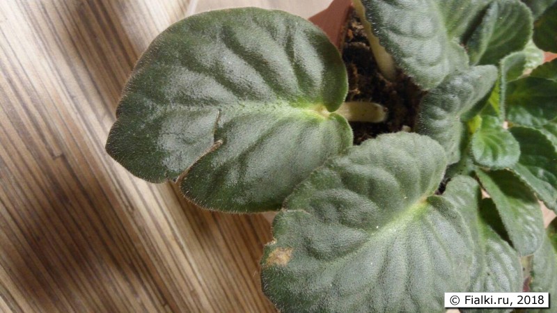 photo_2018-05-30_22-34-54