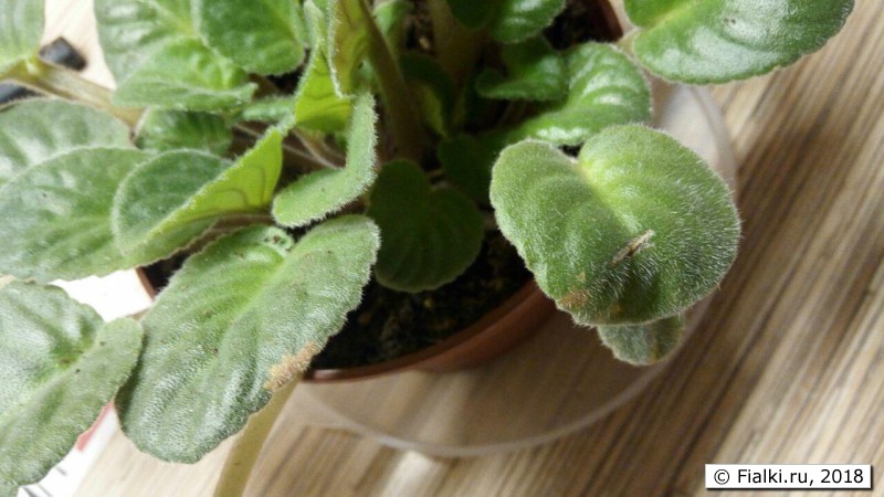 photo_2018-05-30_22-34-51