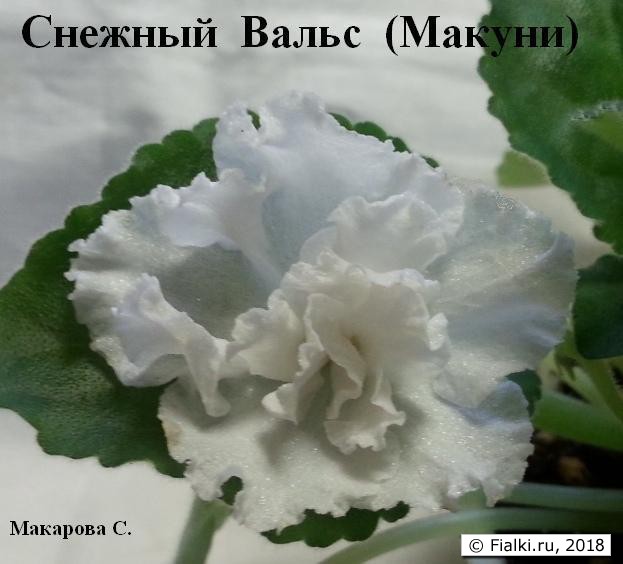 снежн.вальс-1ww